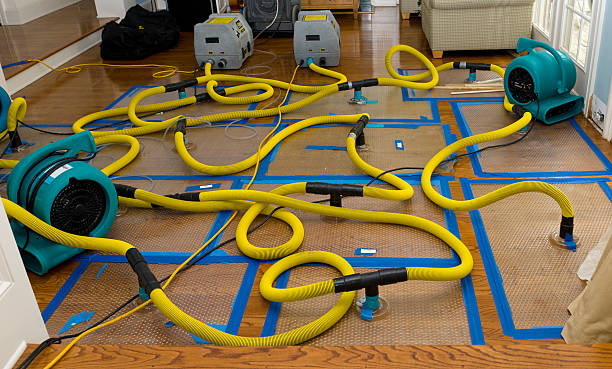 Professional Flood Damage Restoration technician working in Hudson, WI